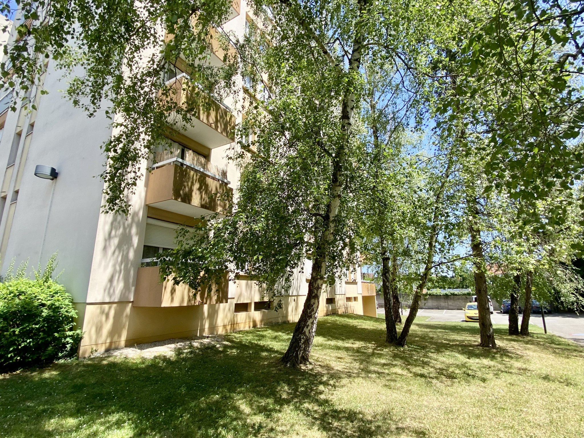 image_1